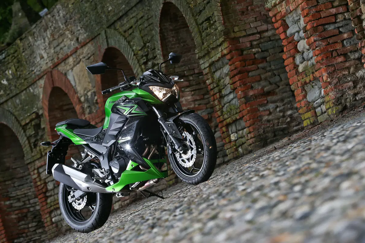 Kawasaki Z300 (7)