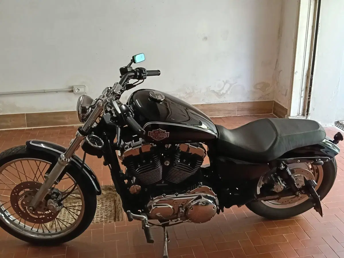 Harley-Davidson 1200 Custom (2004 - 06) - XL 1200C (6)