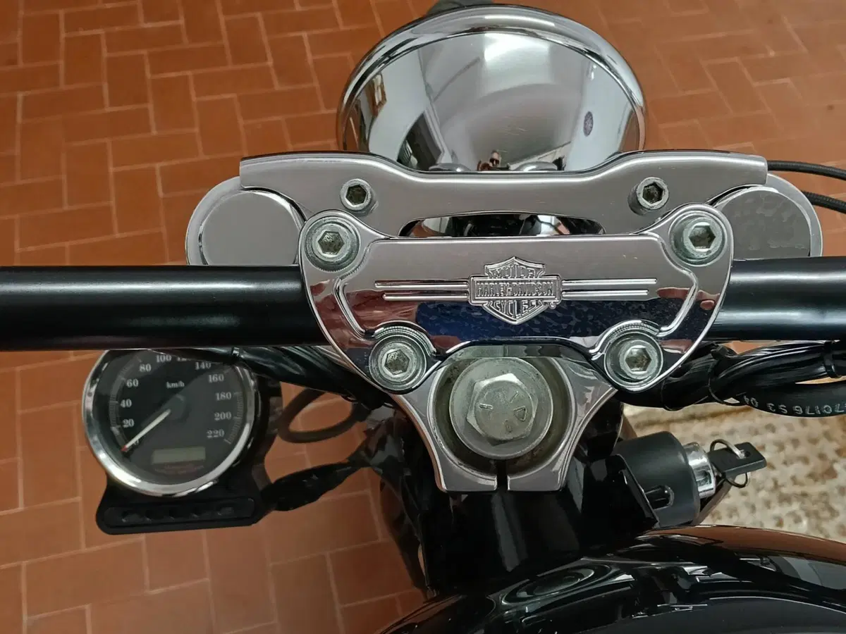 Harley-Davidson 1200 Custom (2004 - 06) - XL 1200C (7)