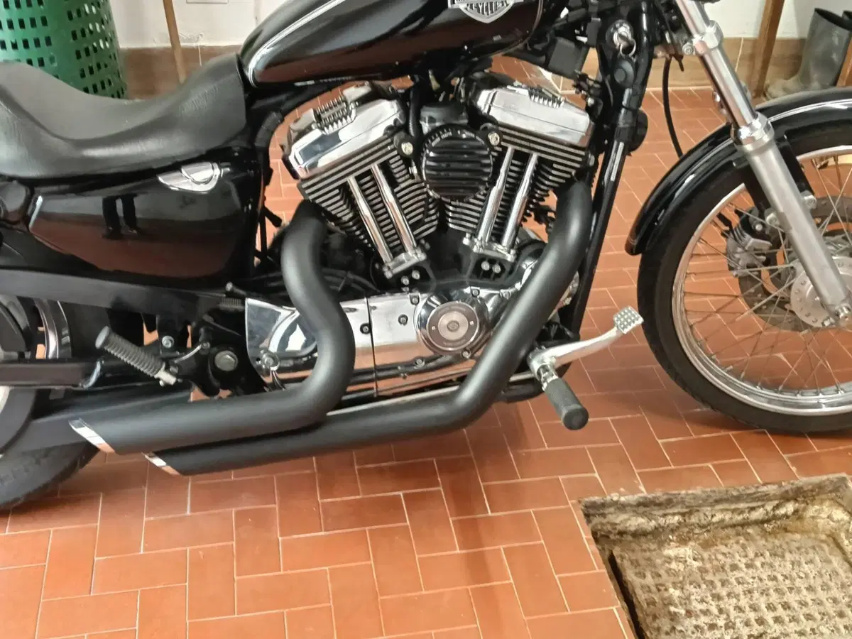 Harley-Davidson 1200 Custom (2004 - 06) - XL 1200C (8)