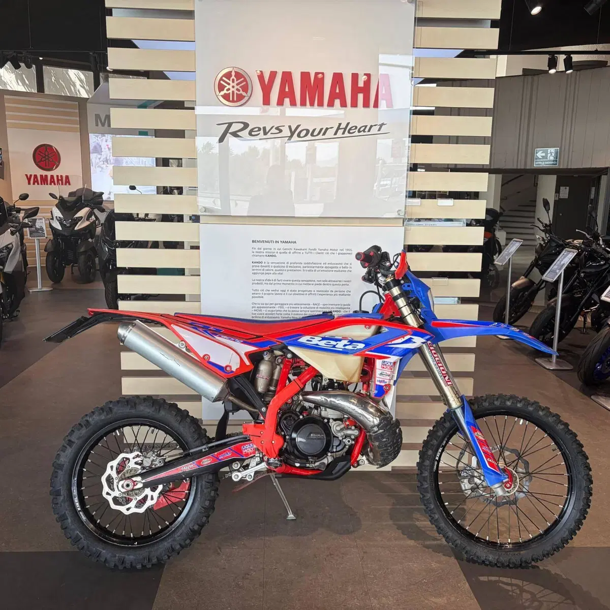 Betamotor RR 300 2T Enduro Racing (2024)