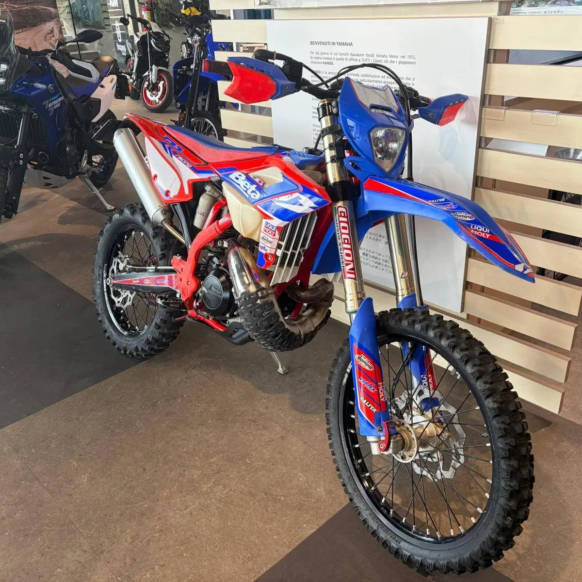 Betamotor RR 300 2T Enduro Racing (2024) (6)
