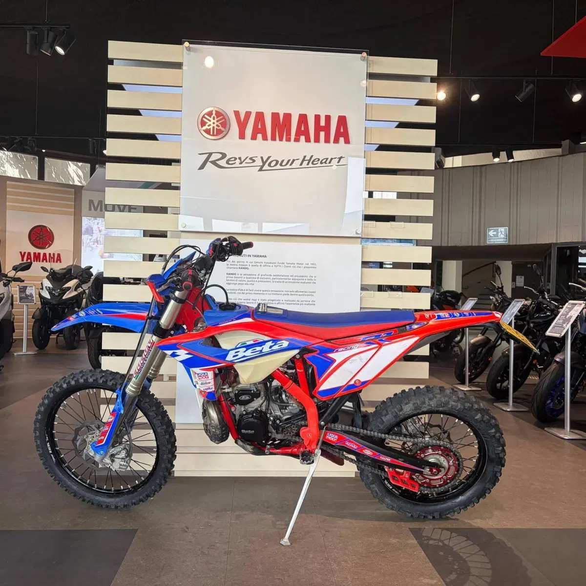 Betamotor RR 300 2T Enduro Racing (2024) (8)