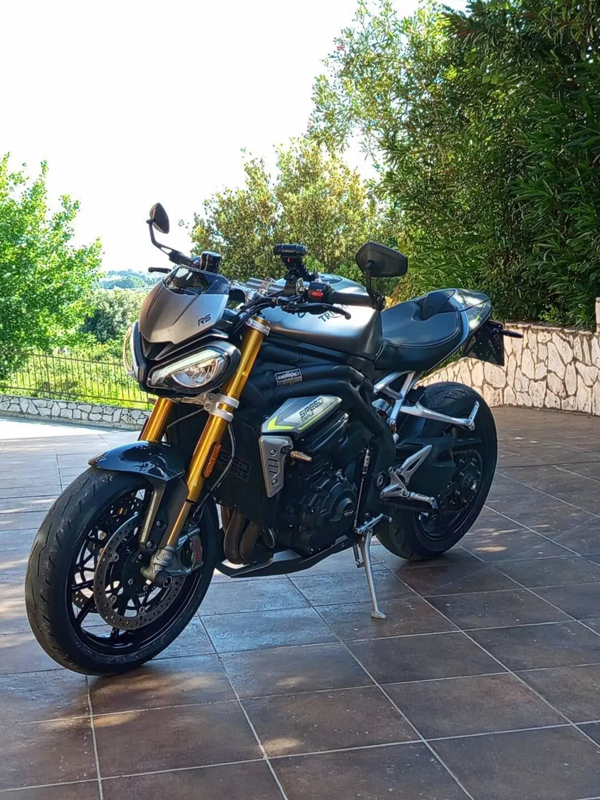 Triumph Speed Triple 1200 RS (2021 - 24) (6)