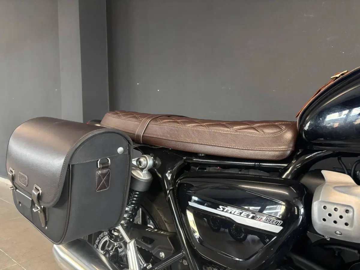Triumph Street Twin 900 (2019 - 20) (6)