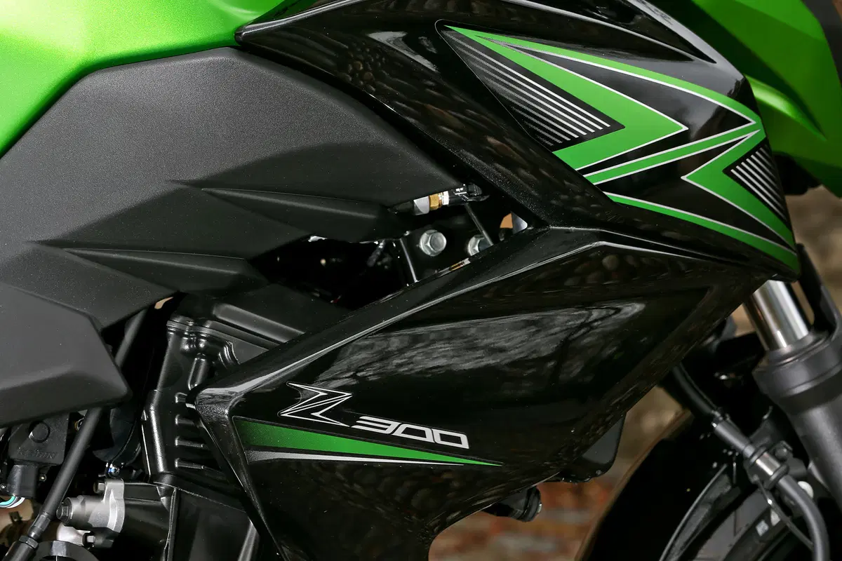 Kawasaki Z300 (12)