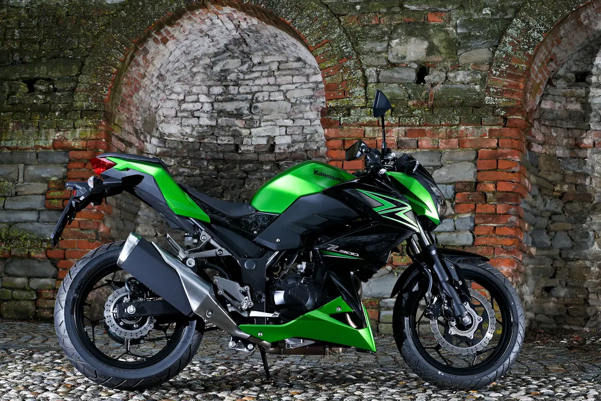 Kawasaki Z300 (8)