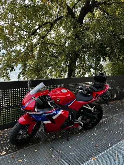 Honda CBR 600 RR (2024 - 26) usata