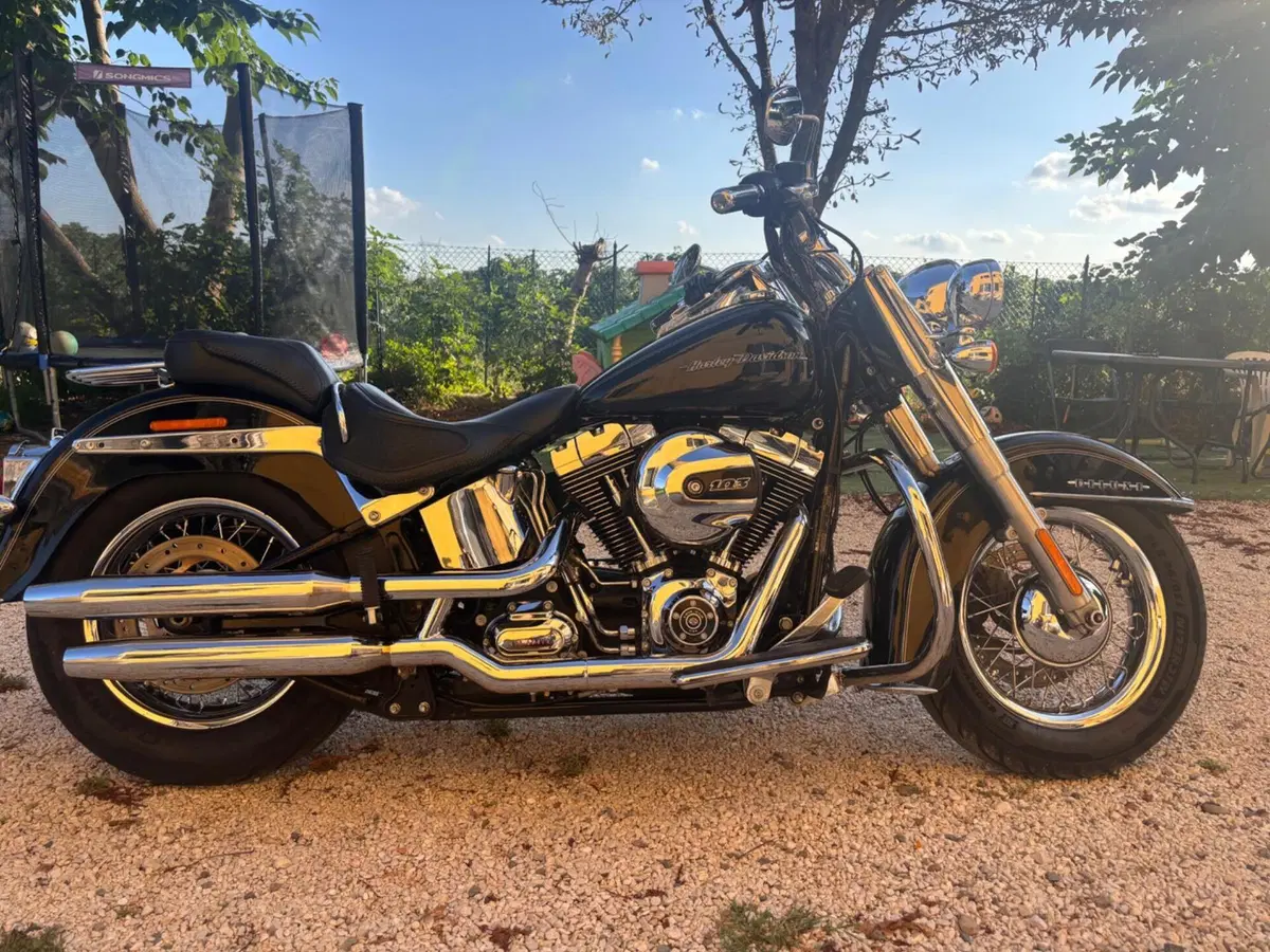 Harley-Davidson 1690 Deluxe (2016 - 17) - FLSTN (3)