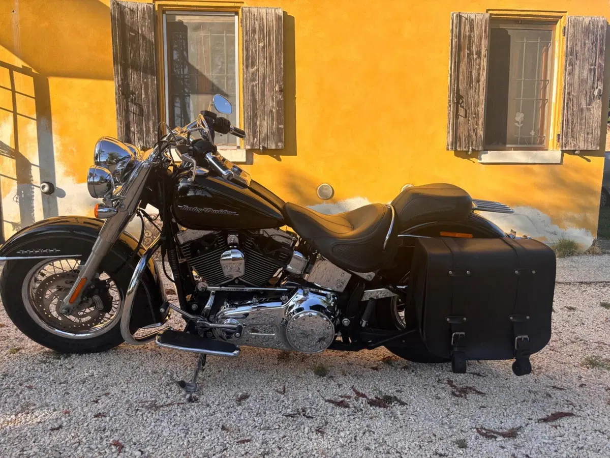 Harley-Davidson 1690 Deluxe (2016 - 17) - FLSTN (5)