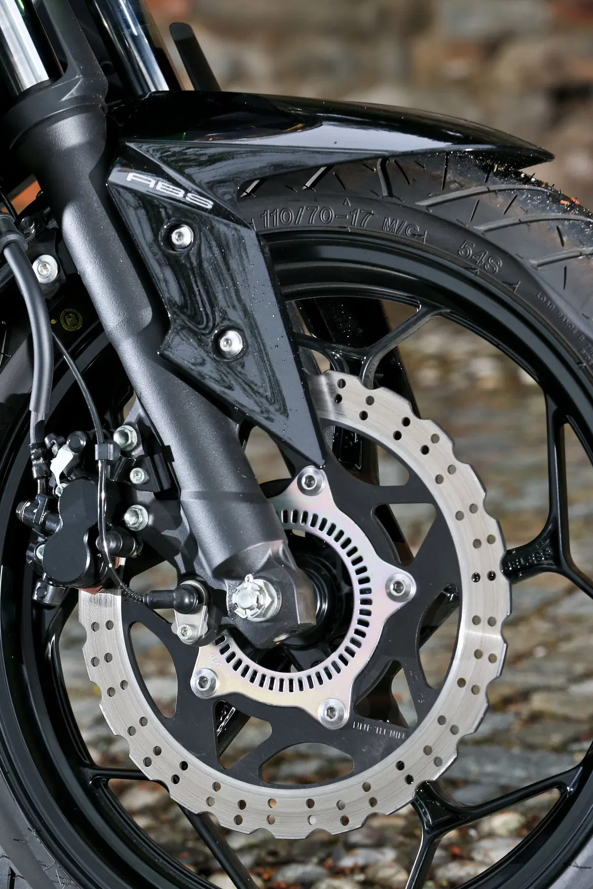 Kawasaki Z300 (14)
