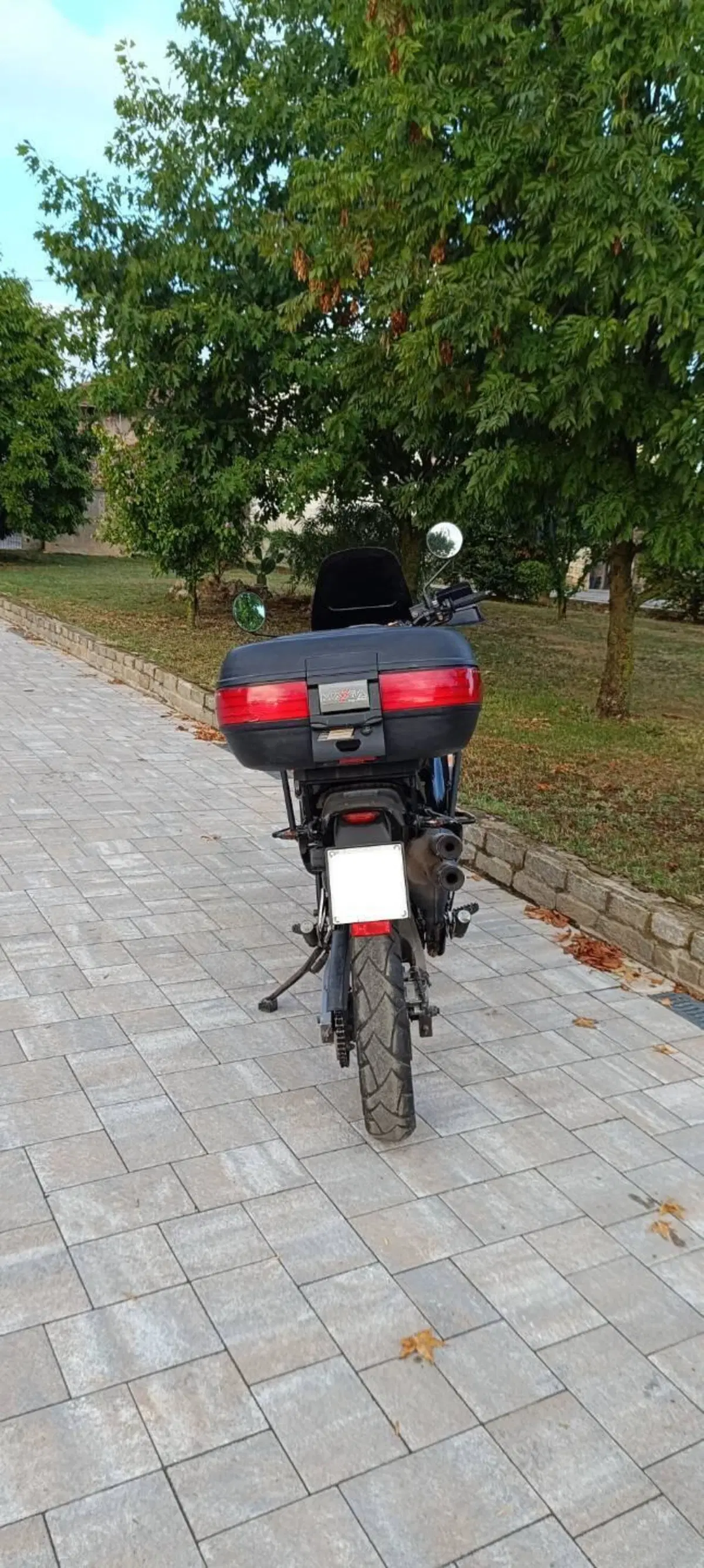 Honda Transalp XL 600V (1994 - 96) (3)