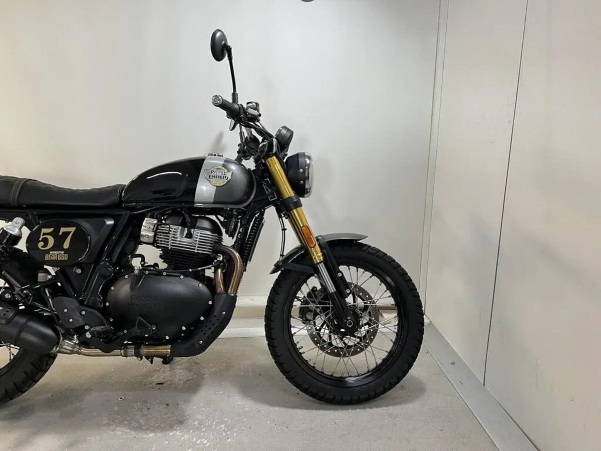 Royal Enfield Bear 650 (2025 - 26) (10)