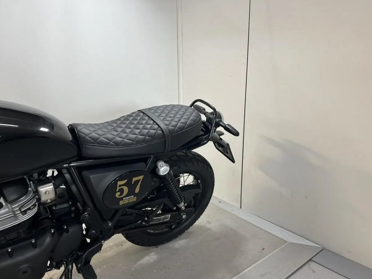 Royal Enfield Bear 650 (2025 - 26) (2)