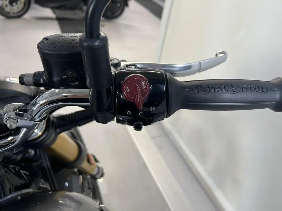 Royal Enfield Bear 650 (2025 - 26) (9)