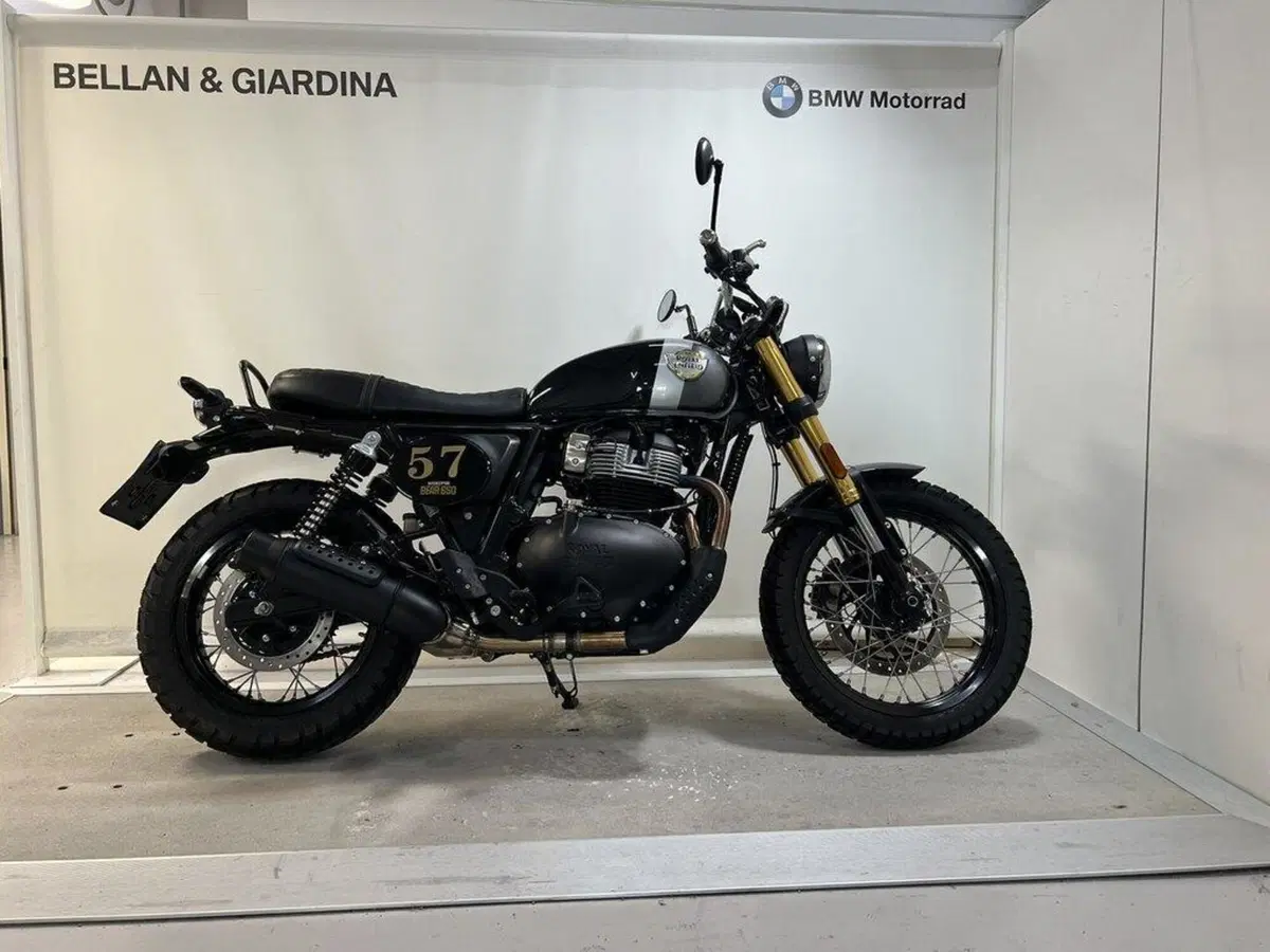 Royal Enfield Bear 650 (2025 - 26) (15)