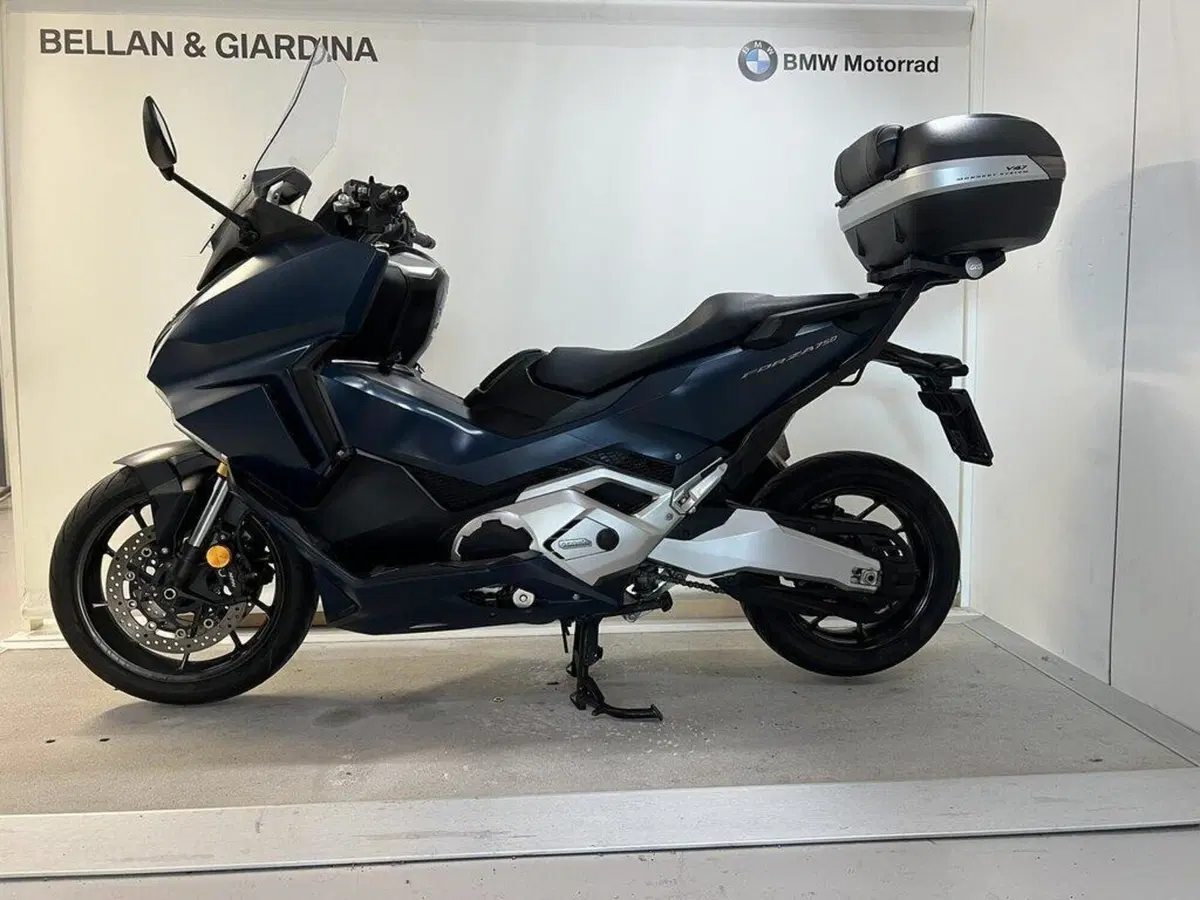 Honda Forza 750 DCT (2021 - 24)