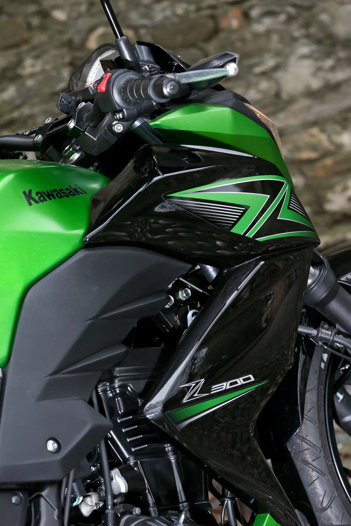 Kawasaki Z300 (13)