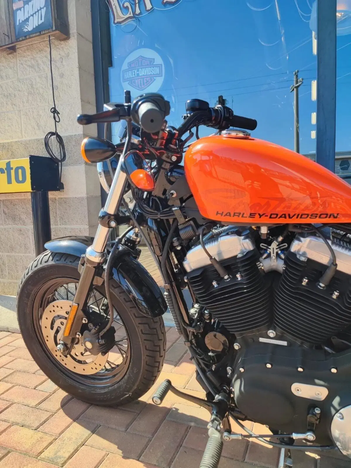 Harley-Davidson 1200 Forty-Eight (2010 - 15) (4)