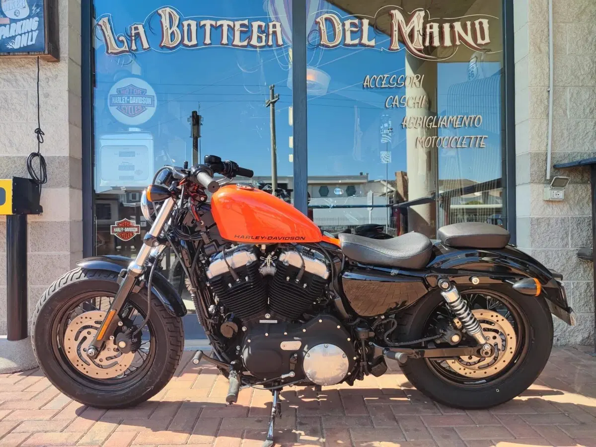 Harley-Davidson 1200 Forty-Eight (2010 - 15) (10)