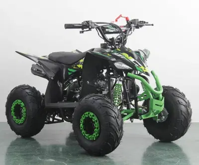  Altre moto o tipologie Quad usata