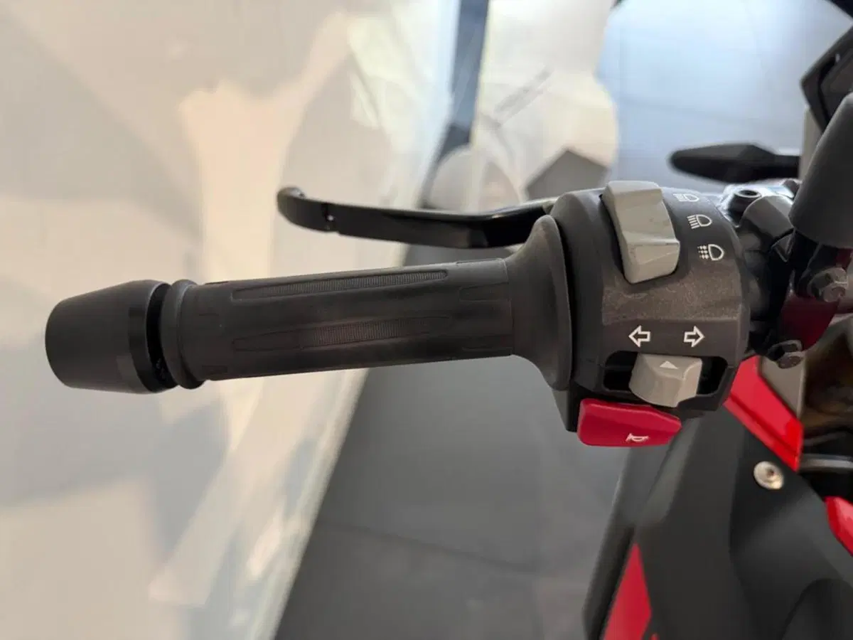 Bmw G 310 GS (2021 - 25) (2)