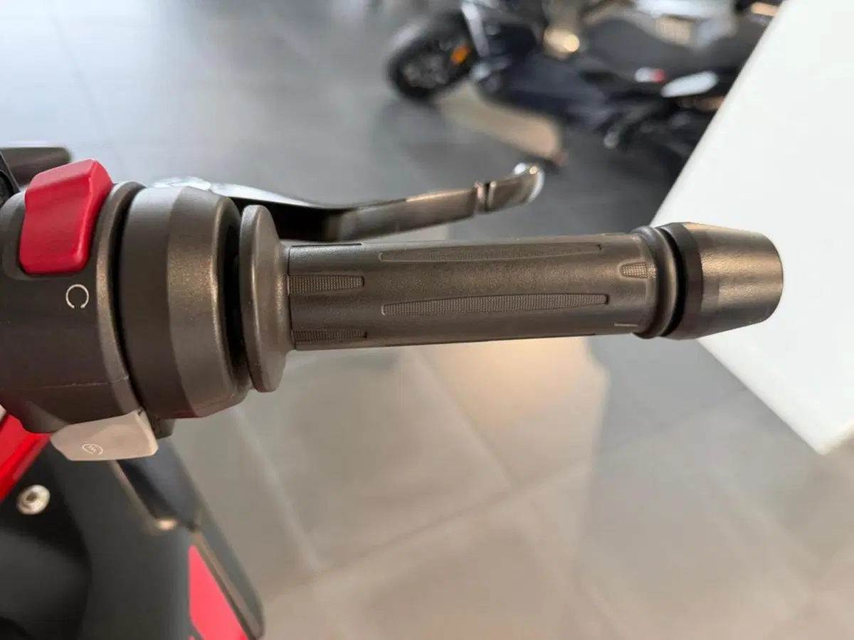 Bmw G 310 GS (2021 - 25) (6)