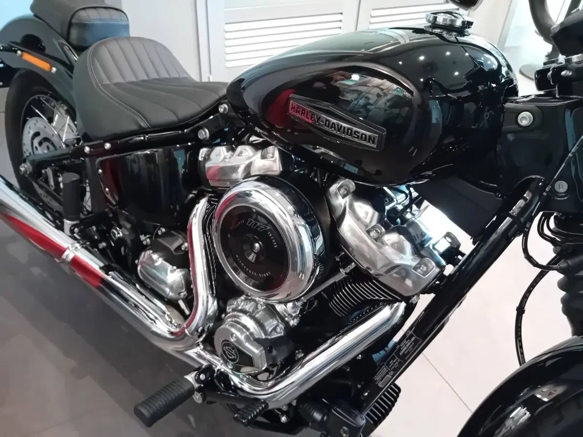 Harley-Davidson Street Bob 117 (2025 - 26) (3)