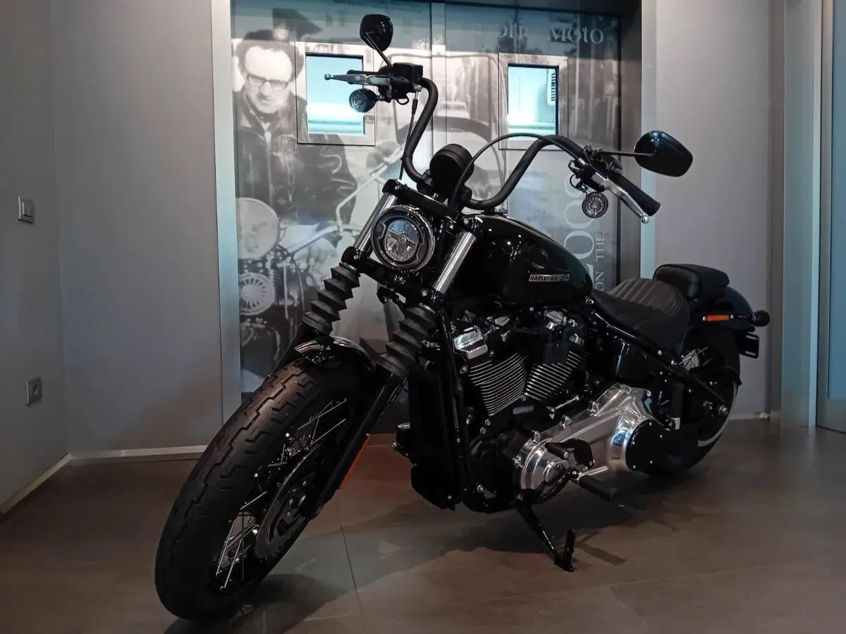 Harley-Davidson Street Bob 117 (2025 - 26) (4)
