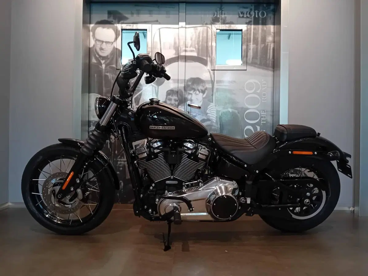 Harley-Davidson Street Bob 117 (2025 - 26) (2)