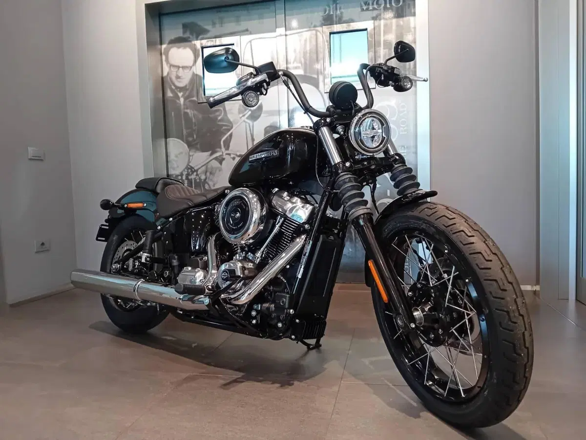 Harley-Davidson Street Bob 117 (2025 - 26) (5)