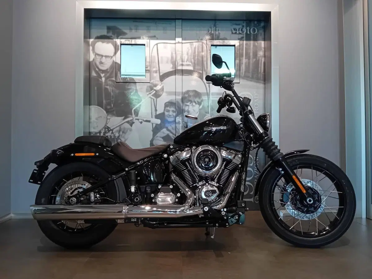 Harley-Davidson Street Bob 117 (2025 - 26)