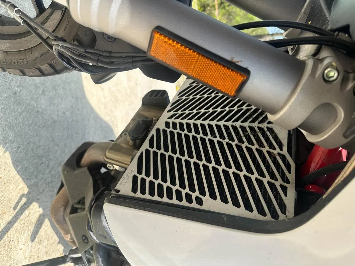 Ducati Multistrada 950 S (2019 - 20) (4)