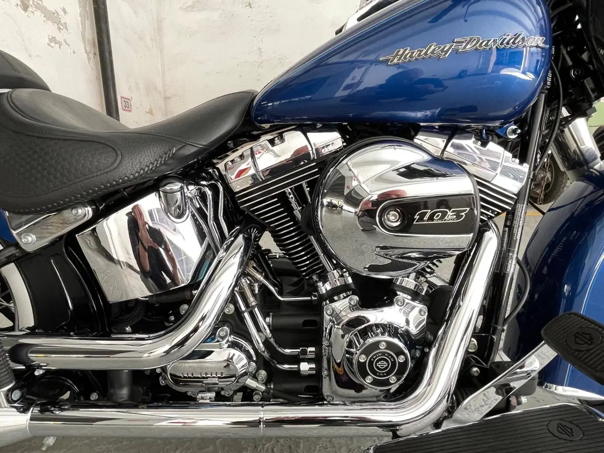 Harley-Davidson 1690 Deluxe (2016 - 17) - FLSTN (8)