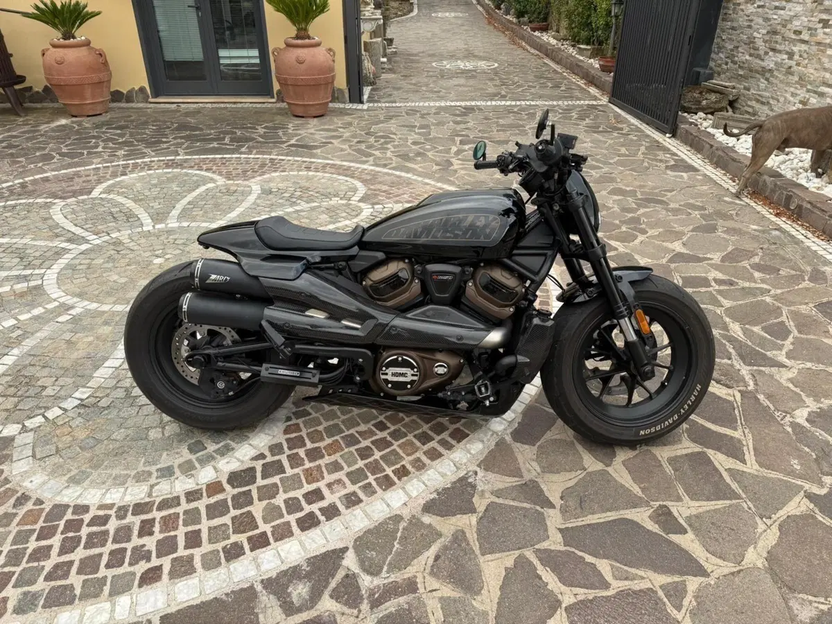 Harley-Davidson 1200 Forty-Eight Special (2018 - 20) (2)