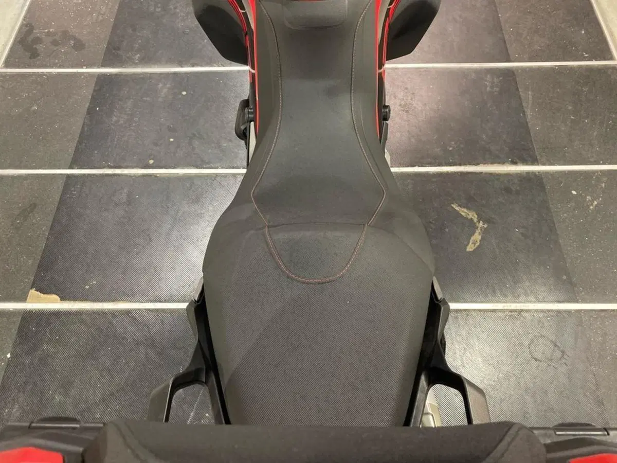 Ducati Multistrada 1260 Enduro (2019 - 21) (10)