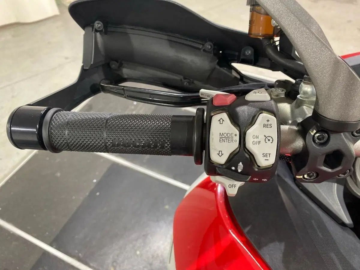 Ducati Multistrada 1260 Enduro (2019 - 21) (7)