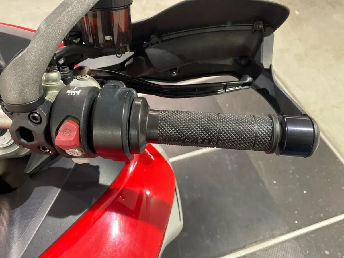 Ducati Multistrada 1260 Enduro (2019 - 21) (8)