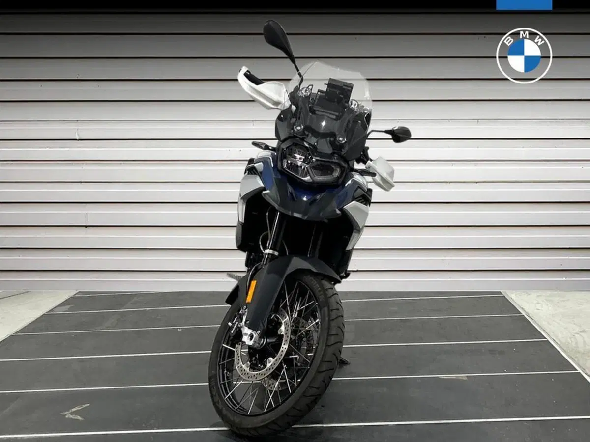 Bmw F 850 GS (2021 - 24) (2)