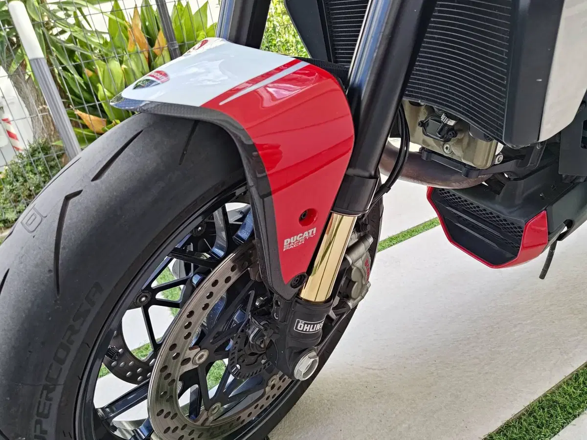 Ducati Monster 1200 R (2016 - 19) (4)