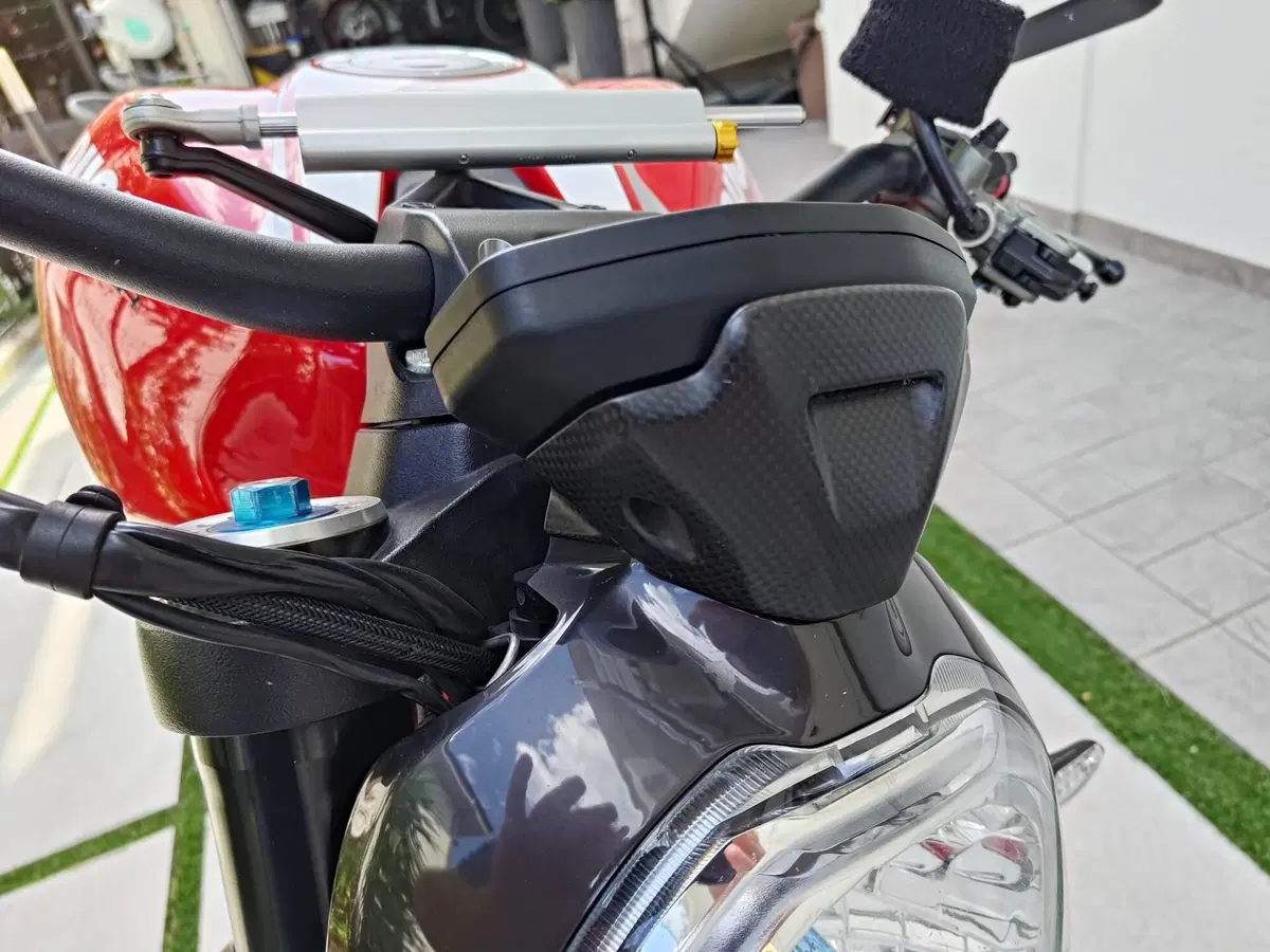 Ducati Monster 1200 R (2016 - 19) (9)