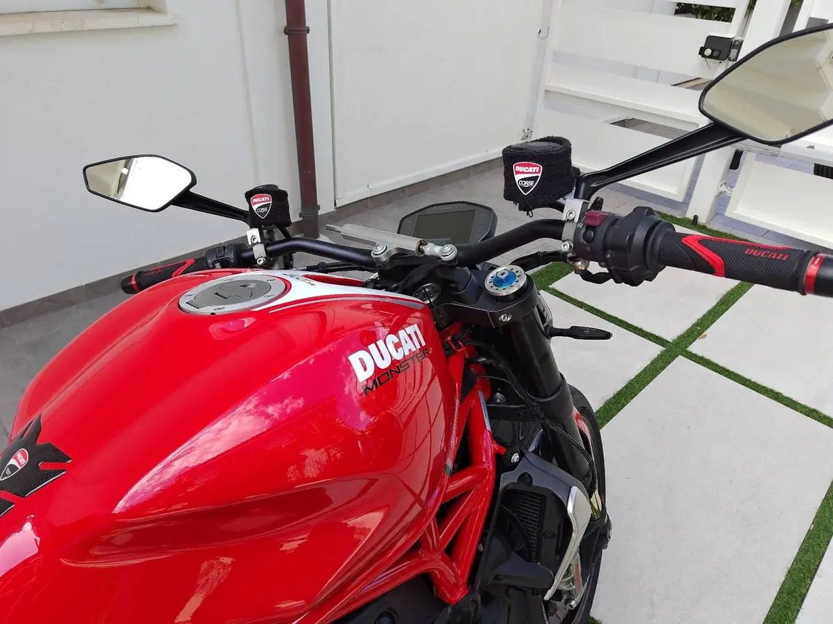 Ducati Monster 1200 R (2016 - 19) (12)