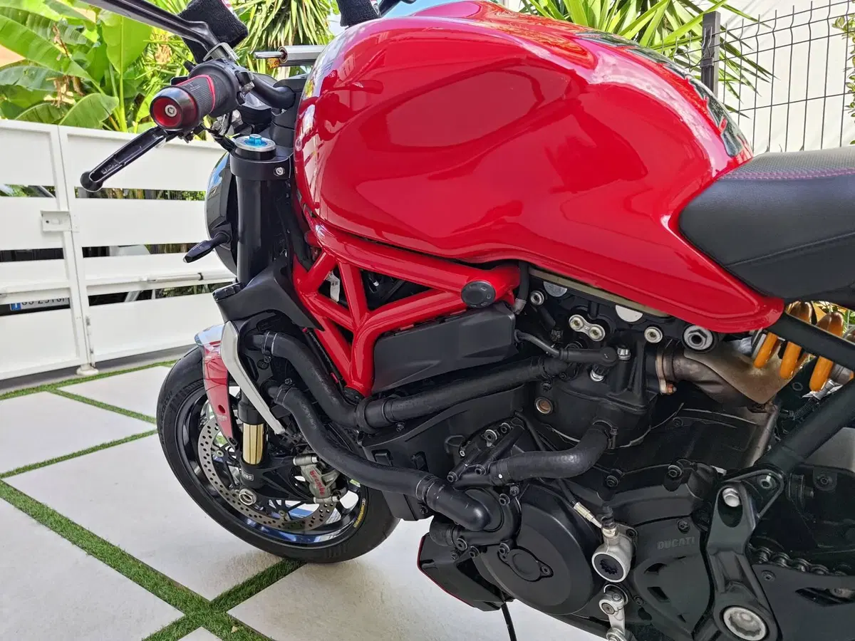 Ducati Monster 1200 R (2016 - 19) (14)