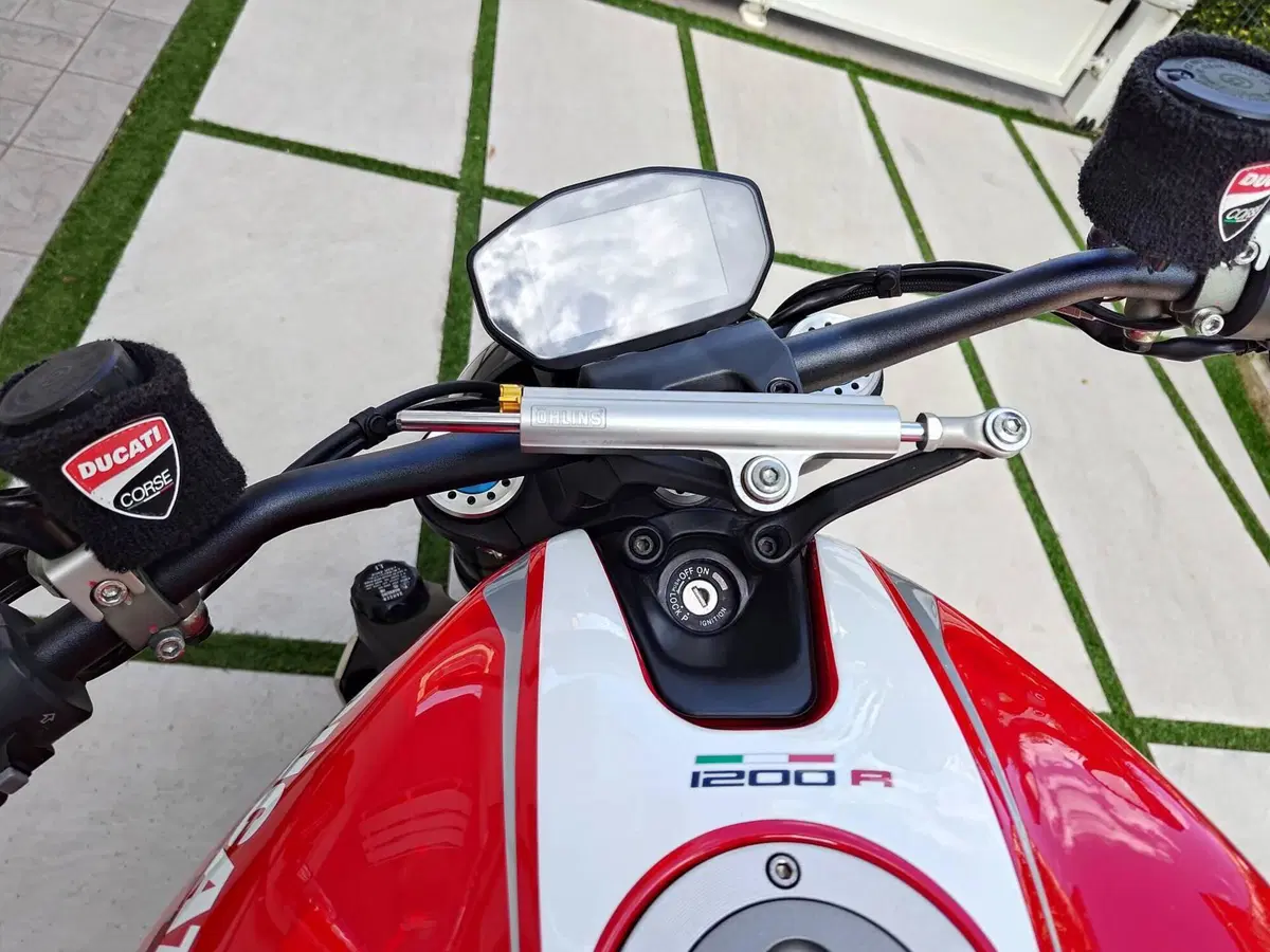 Ducati Monster 1200 R (2016 - 19) (16)
