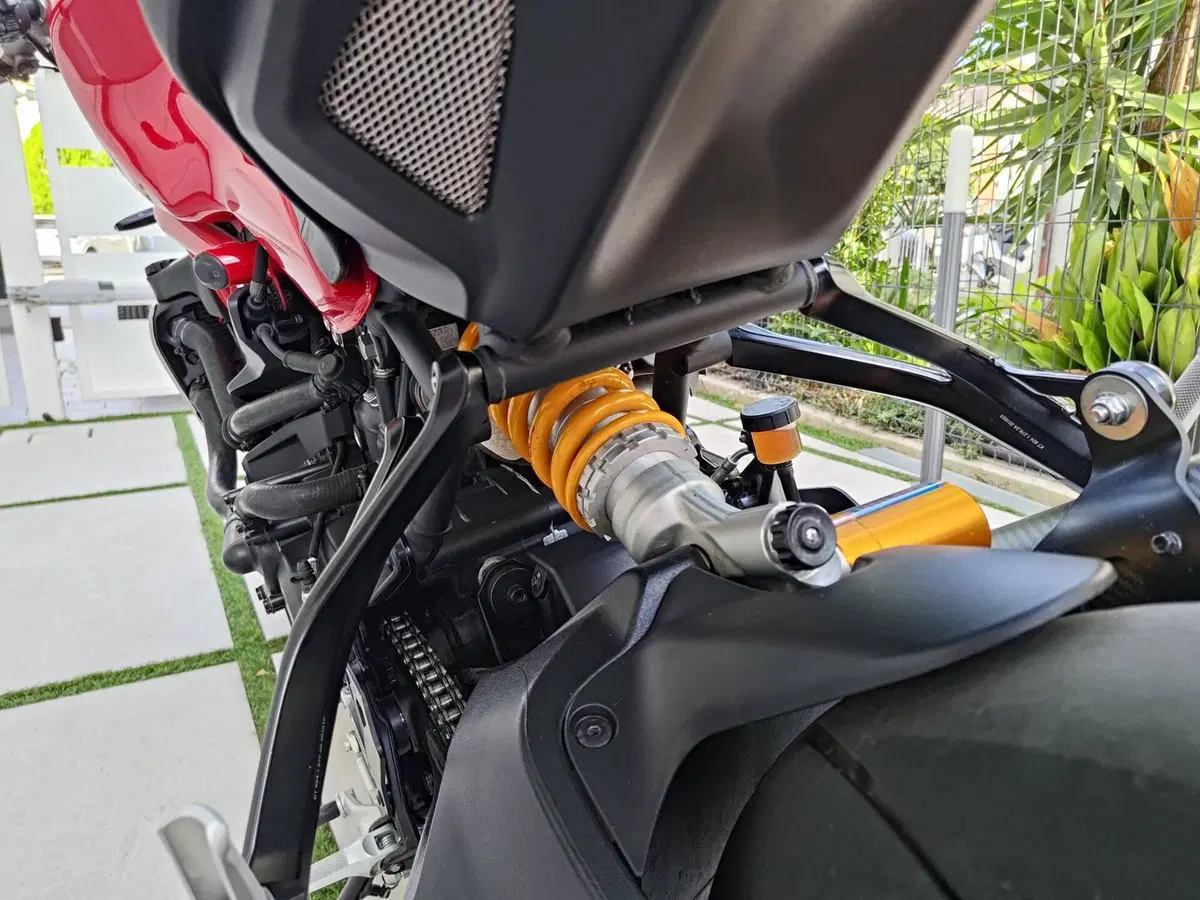 Ducati Monster 1200 R (2016 - 19) (17)