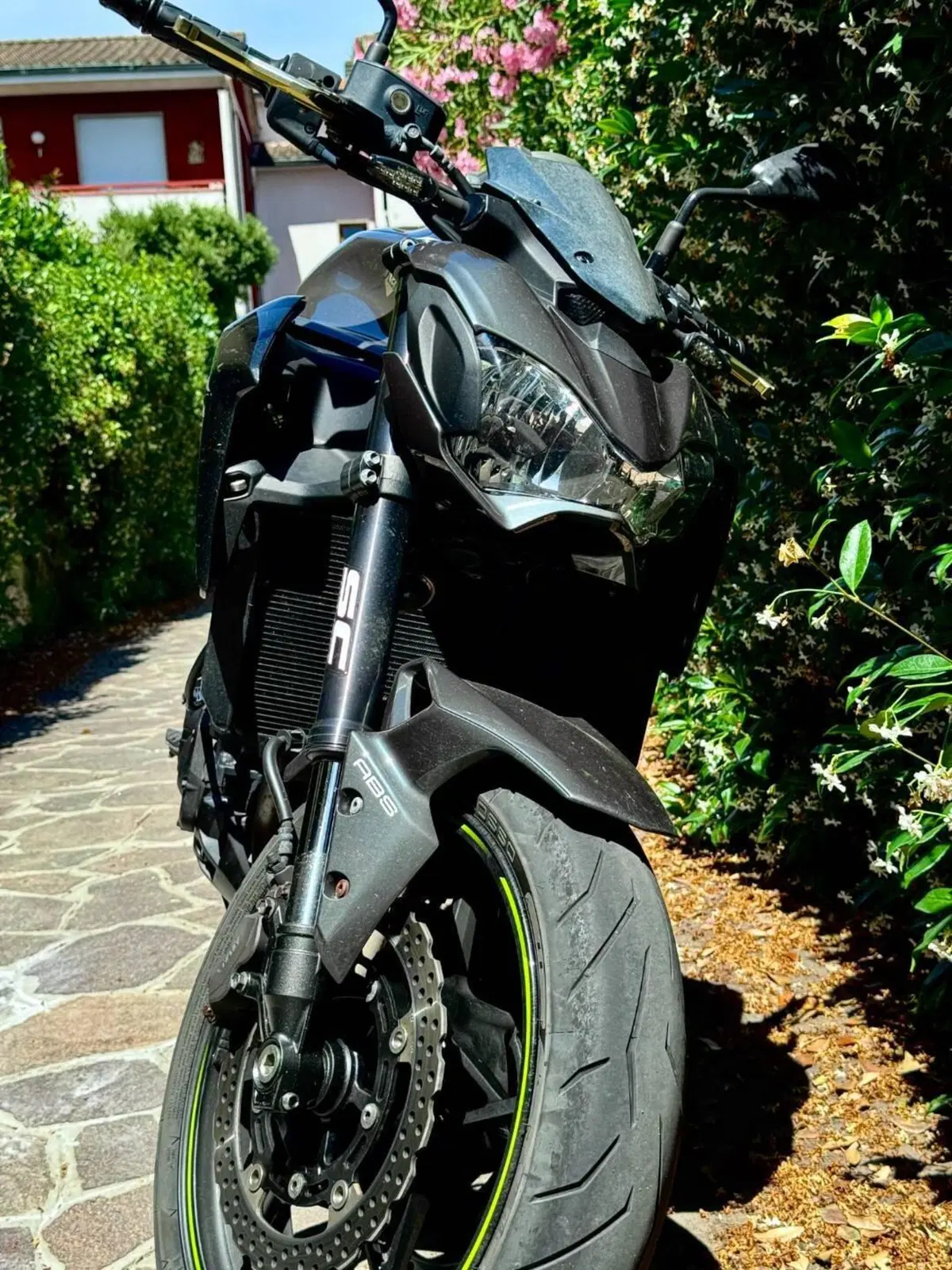 Kawasaki Z 900 (2017 - 18) (3)