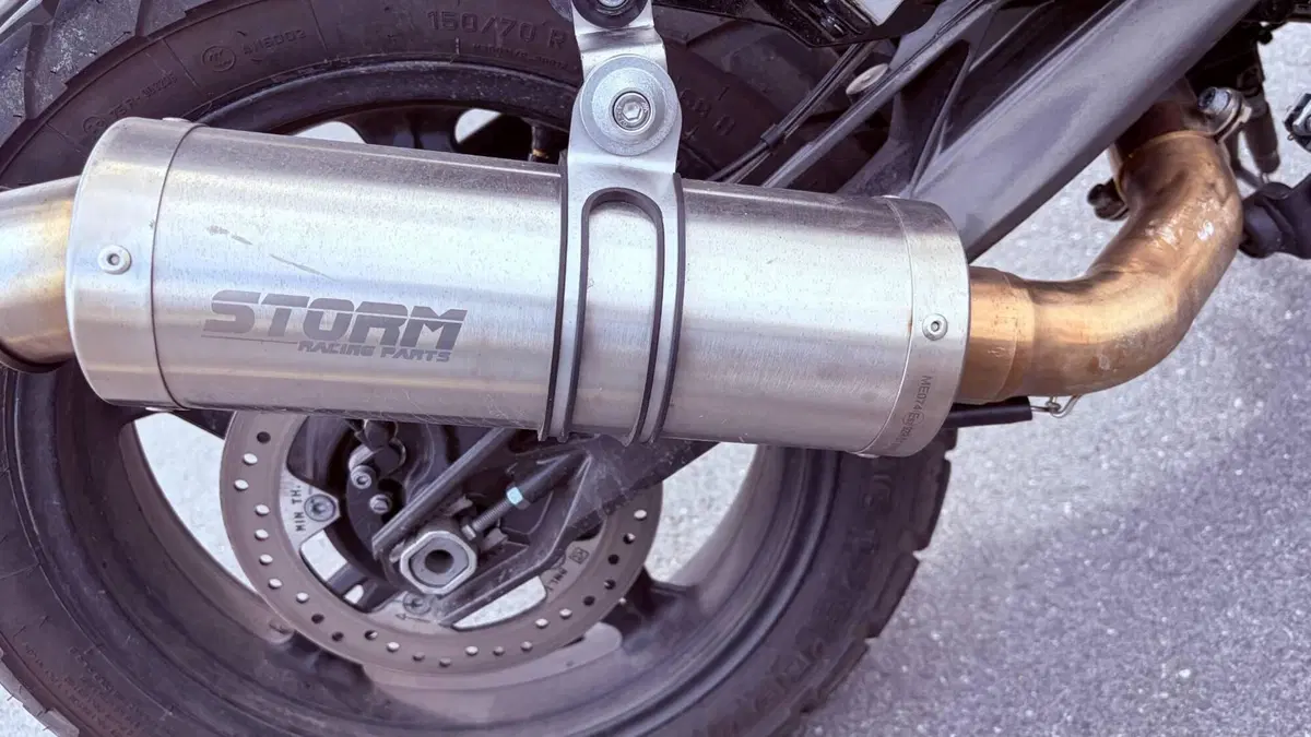 Bmw G 310 GS (2021 - 25) (6)