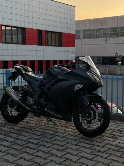 Kawasaki Ninja 300 ABS (2012 - 16) usata
