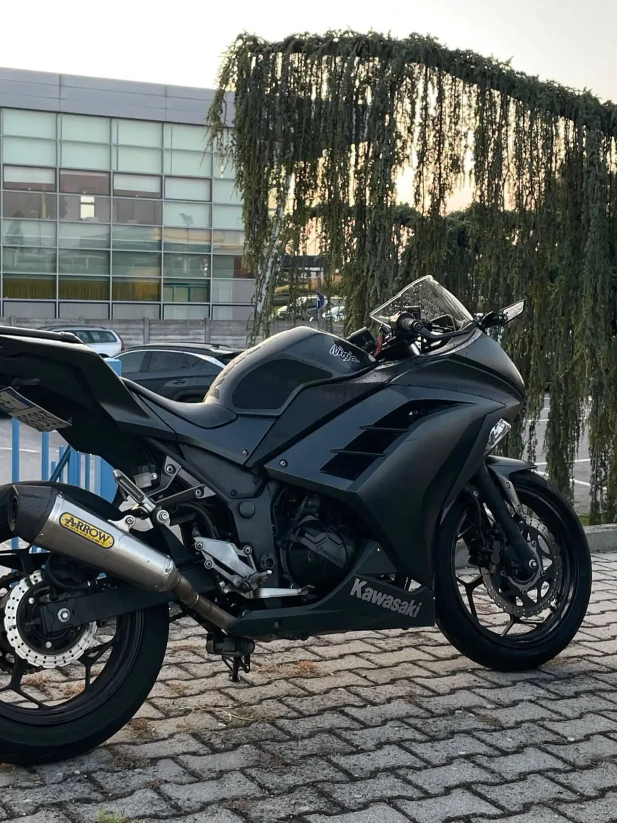 Kawasaki Ninja 300 ABS (2012 - 16) (2)