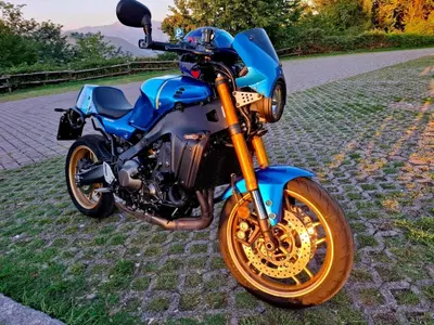 Yamaha XSR 900 (2022 - 24) usata